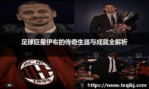 足球巨星伊布的传奇生涯与成就全解析