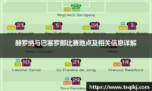 赫罗纳与巴塞罗那比赛地点及相关信息详解